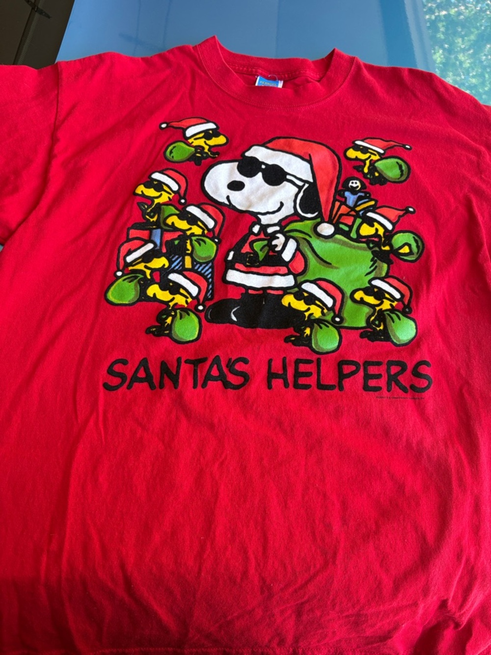 Peanuts Red Snoopy & Woodstock Crewneck Tee